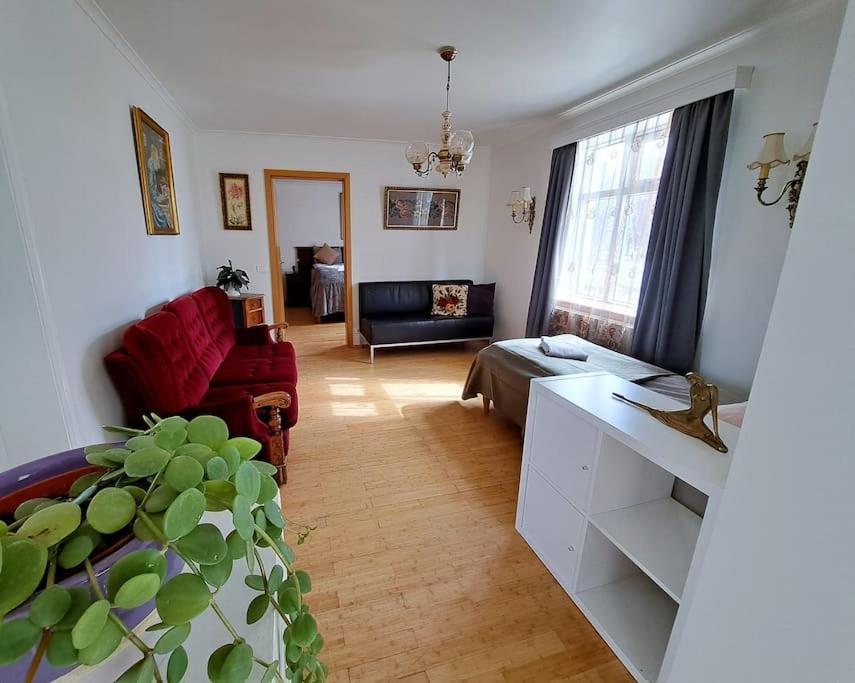 Spacious Apartment -Top Location Akureyri Bagian luar foto